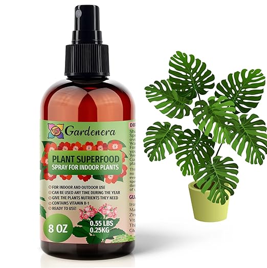 ππππππππππ Plant Superfood for Indoor Plants with B1 Vitamin, Glucose and Essential Minerals - Organic Plant Food Fertilizer for All Indoor Plants - 8oz