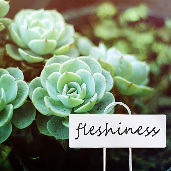 Plant Labels Metal Stainless Steel Garden Plant Markers Weatherproof Garden Stake Tag Plant Tags with Pen for Outdoor Seedling Flower Herb Vegetable Greenhouse(30 Pack) (White)