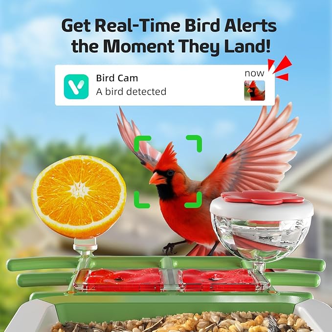 Bird Feeder with Camera 2K HD AI Smart Identify BirdSpecies Solar Panel Outdoors Birdhouse with Cam, Instant Arrival Alerts, Capture BirdVideo, Gifts for Mom Dad (Green)
