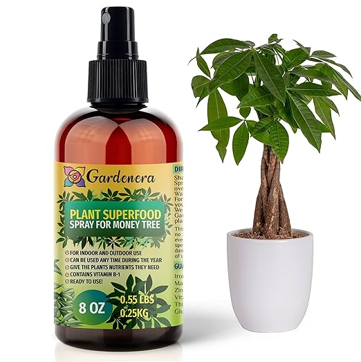 ππππππππππ Plant Superfood for Money Tree Plants with B1 Vitamin, Glucose and Essential Minerals - Organic Plant Food Fertilizer for Indoor & Outdoor Money Trees Care - 8oz