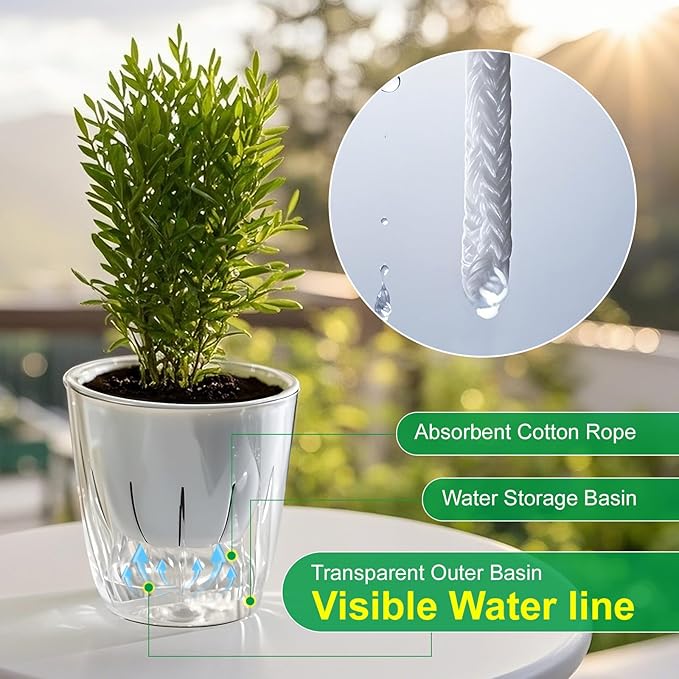Self Watering Planters - 2 Pack, 6 Inch Transparent Flower Pots for Indoor Plants, Perfect for African Violet, Monstera, Succulents, Herbs & Decorative Flowers