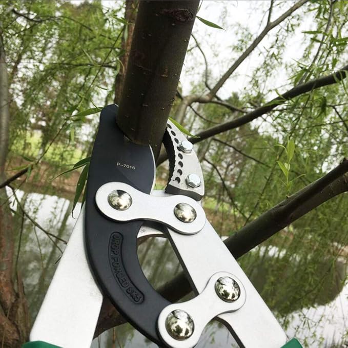 TUOSEN SK5 High-Performance Compound Action Anvil Lopper,Chops Thick Branches with Ease,2 Inch Cutting Capacity,28inch-40inch Telescoping Lopper, Tree Trimmer with Sturdy&Comfortable Handle