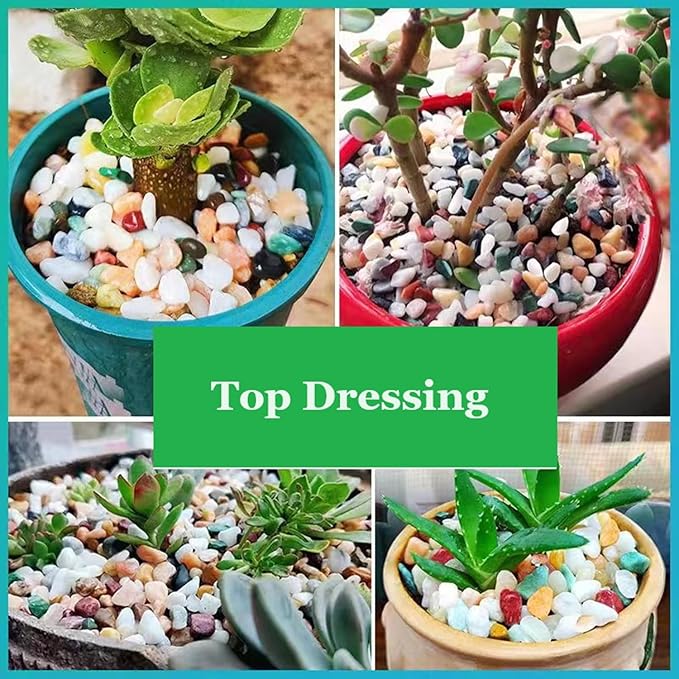 2LB Succulent and Cactus Gravel Pebbles, 1/4 Inch - 1/3 Inch Natural Decorative Polished Stones, River Rocks for Plants, Aquariums, Vases, Terrarium and Outdoor Gardening, 5 Mixed Colors