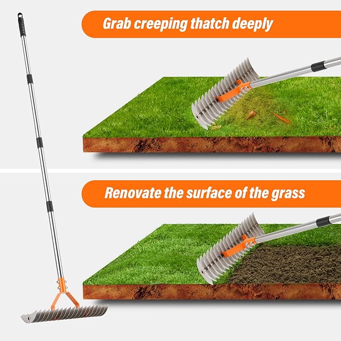 62" Adjustable Thatch Rake - 19-Tine Lawn Dethatcher with Nickel Steel Tines, Heavy Duty Ergonomic Handle for Spring Lawn Care, Soil Aeration & Yard Cleanup&Turf Renovation (Silver)