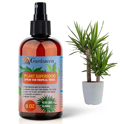 ππππππππππ Plant Superfood for Tropical Plants with B1 Vitamin, Glucose and Essential Minerals - Organic Plant Food Fertilizer for Indoor & Outdoor Tropical Tree Care - 8oz