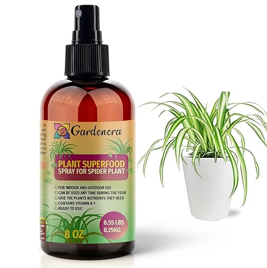ππππππππππ Plant Superfood for Spider Plants with B1 Vitamin, Glucose and Essential Minerals - Organic Plant Food Fertilizer for Indoor & Outdoor Spider Plant Care - 8oz