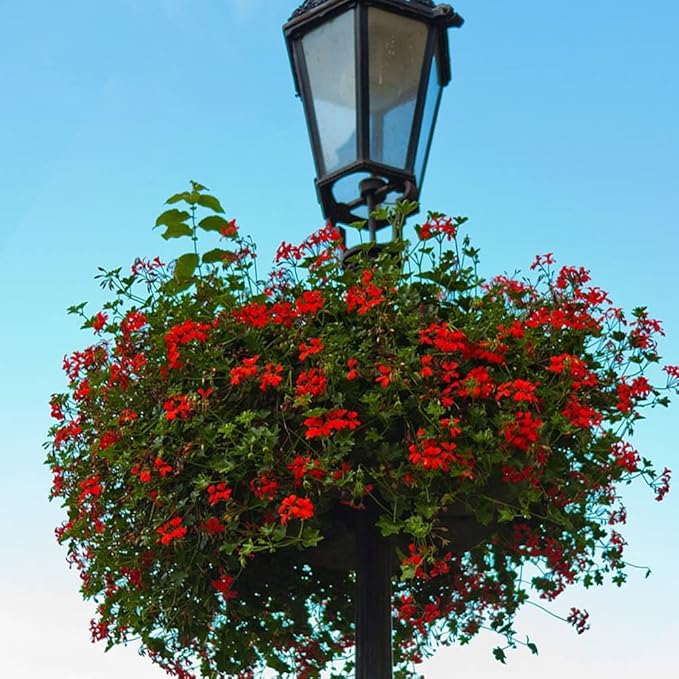 2PCS Hanging Basket Liners Coco Liner 10 Inch Round Coconut Coir Basket for Plants Replacement for Hanging Basket 100% Natural Coconut Fiber Plant Basket Liner for Garden Planter Flower Pot