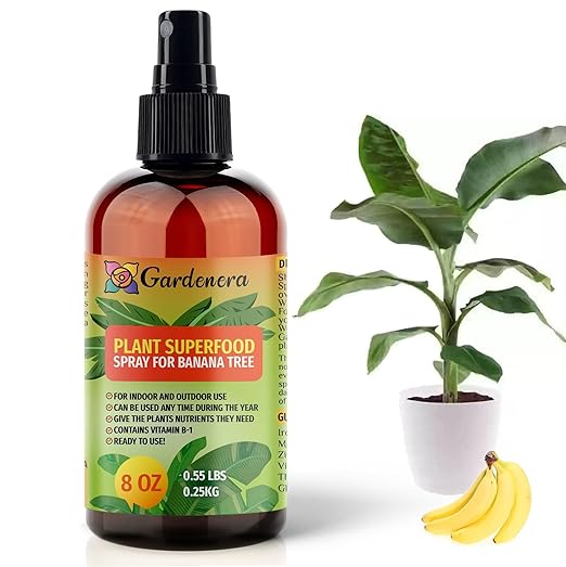 ππππππππππ Plant Superfood Spray for Banana Trees with B1 Vitamin, Glucose and Essential Minerals - Organic Plant Food Fertilizer Mist for Indoor & Outdoor Banana Plant Care - 8oz