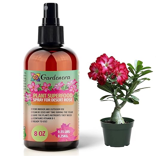 ππππππππππ Plant Superfood for Desert Rose Plants with B1 Vitamin, Glucose and Essential Minerals - Organic Plant Food Fertilizer for Indoor & Outdoor Desert Roses Care - 8oz