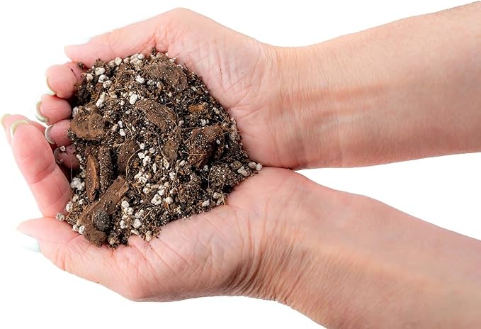 Premium Aroid Potting Mix - Soil Free Blend for Aroids - Growing Medium for House Plants by Gardenera - (4 Quart Bag)