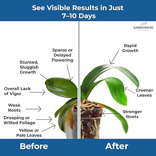 20-20-20 Water-Soluble Fertilizer β Powder for Liquid Plant Food for Indoor & Outdoor Plants, Orchids, Vegetables, Lawns, Flowers β 20 20 20 Fertilizer 1 Quart (2 lbs)