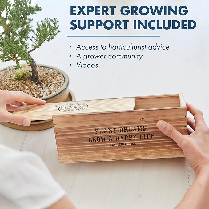 Garden Republic Medium Bonsai Tree Kit, Grow 3 Mini Bonsai Trees, Indoor Plant Growing - Starter Kit with Seeds, Soil, Planters & Shears, Gardening Gifts