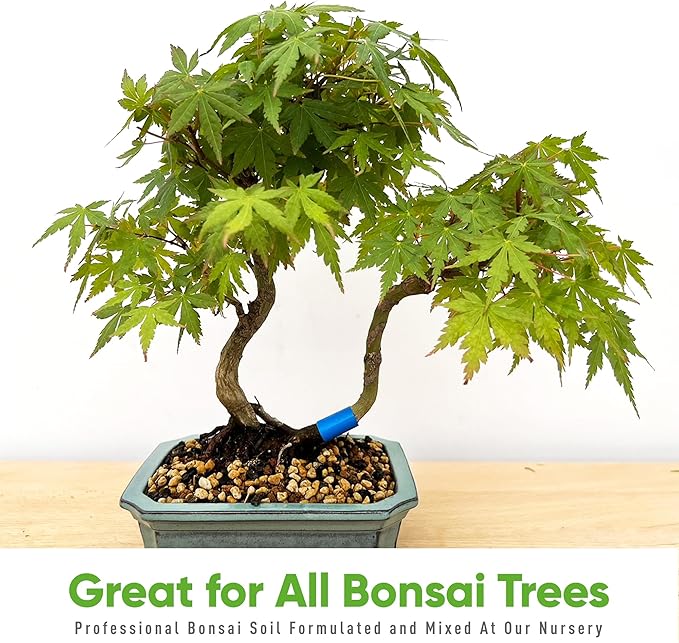 Tinyroots Bonsai Soil Mix - All Purpose Ready to Use Blend for All Varieties of Bonsai Trees, 4.5 Quarts