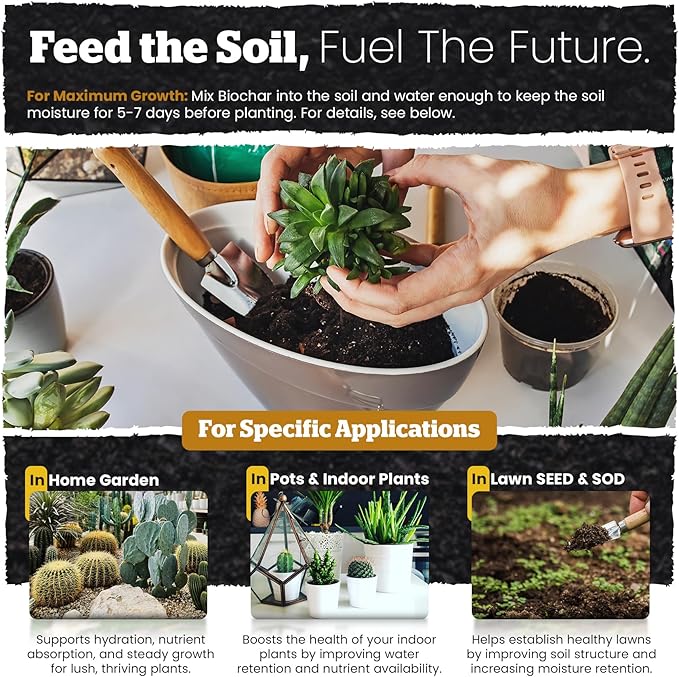 Wakefield Biochar Blend Potting Mix for Cactus & Succulent – Premium Potting Soil Blend with CarbonBoost Technology for Superior Drainage, Moisture Retention & Root Growth – 2 QT Organic Soil Mix