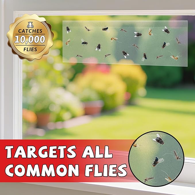 LULUCATCH Window Fly Traps, 12 Pack Fruit Fly Traps for Indoors, Sticky Gnat Traps Fly Catcher, Non-Toxic Flying Insect Trap, Pet Safe Pest Control for Home, Kitchen & Garage