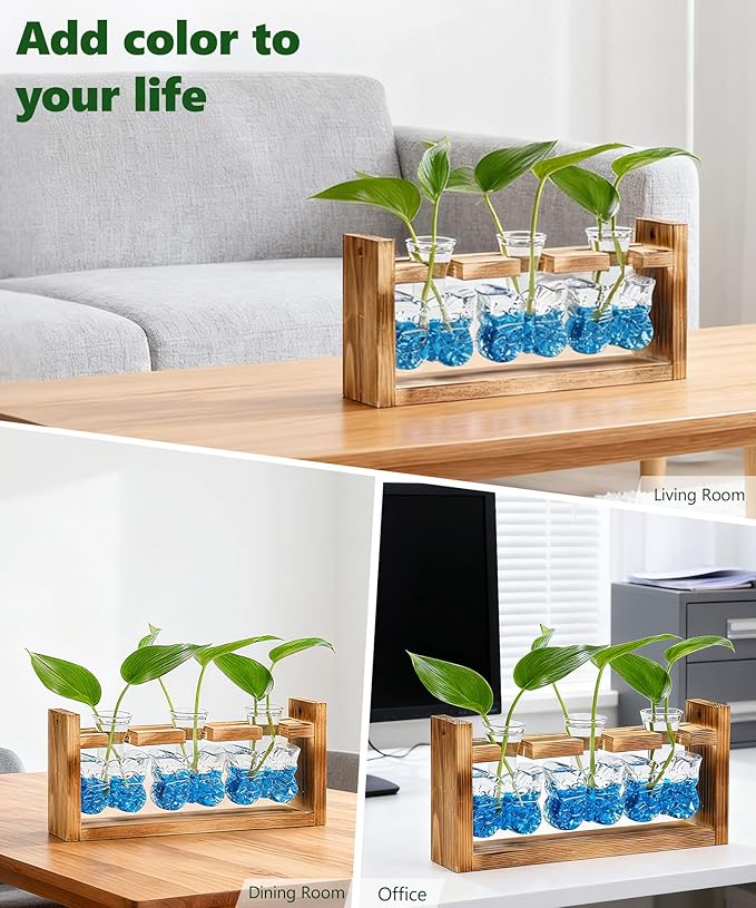 Nacome Plant Terrarium with Wooden Stand,Butterfly-Shaped Glass Vase Planter Propagation Station for Home Office Decor, Unique Gifts for Plant Lovers Women Mom
