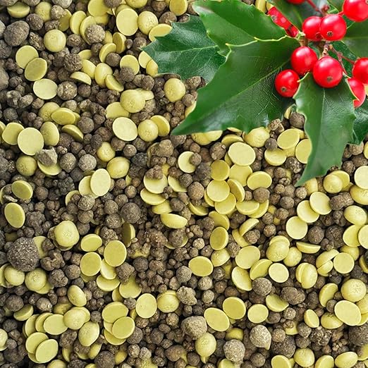 Quick-Release Soil Acidifier - Elemental Sulfur & Gypsum Mix - Hydrangea & Blueberry Fertilizer, Aluminum Sulfate Alternative, Improves Blue Hydrangea Color (12 oz - 0.75 lb.)