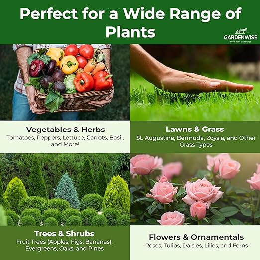 13-13-13 Slow Release Granular Fertilizer β All Purpose Plant Food 13 13 13 for Outdoor Grass, Vegetables, Roses, Flowers, Shrubs, Trees. Lawns, Gardens, Potted Plants (3 quarts)