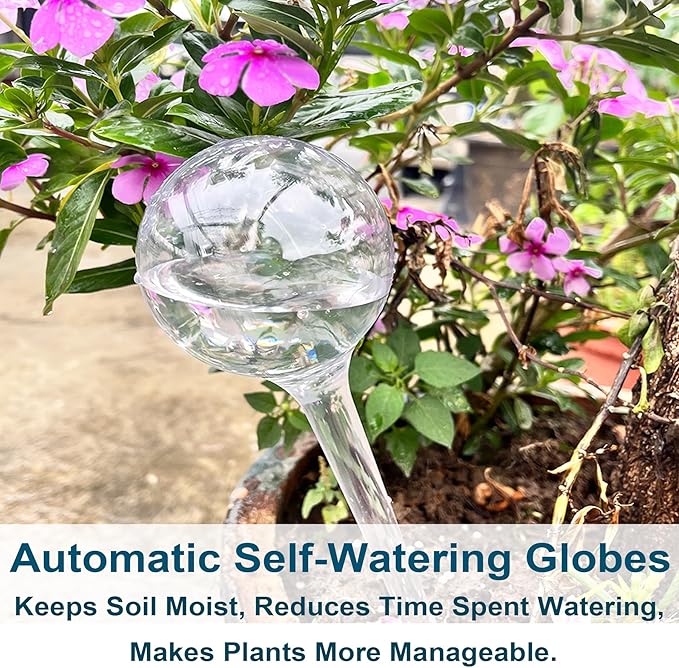 Plant Automatic Watering Devices, Clear Plastic Self-Watering Bulbs Flower Automatic Watering Device While Away Garden Waterer for Plant Indoor Outdoor