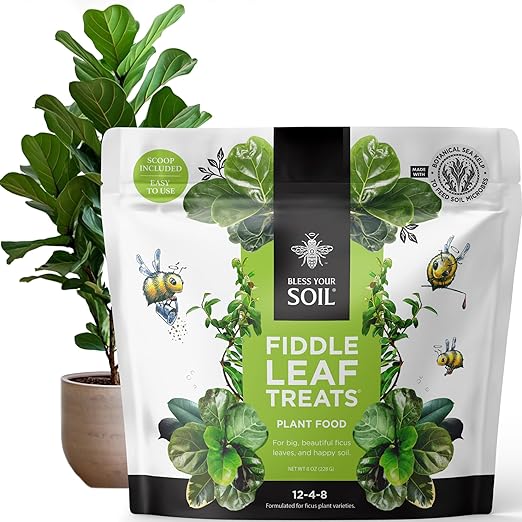 Fiddle Leaf Fig Plant Food - Fiddle Leaf Treats | Urea-Free Fertilizer | Fast Acting for Bigger Leaves and Stress Tolerance, 4X More Concentrated Than Liquid Plant Food | for All Ficus Plants