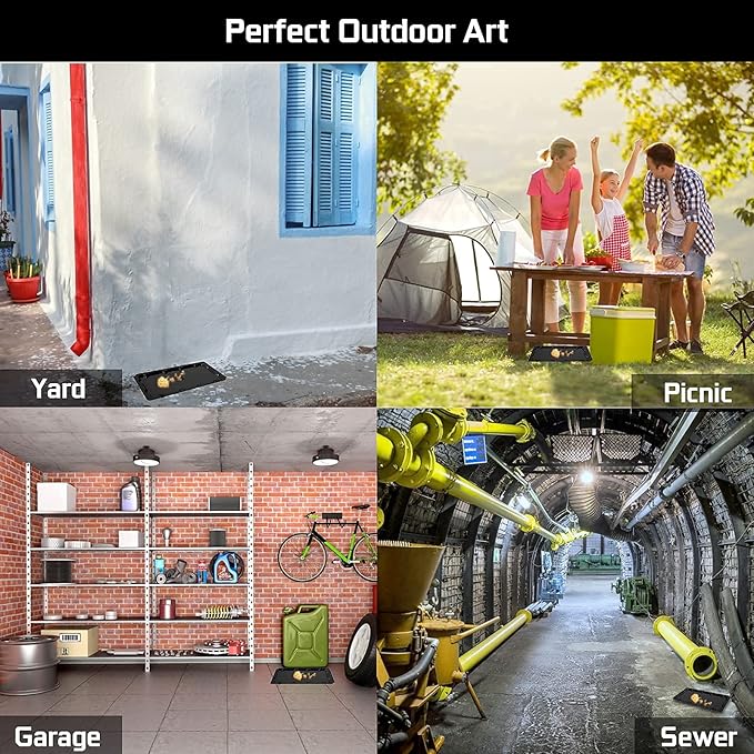 10 Pack Sticky Mouse Trap Rat Traps Indoor, Peanut Taste Pheromone Mouse Traps Indoor for Home