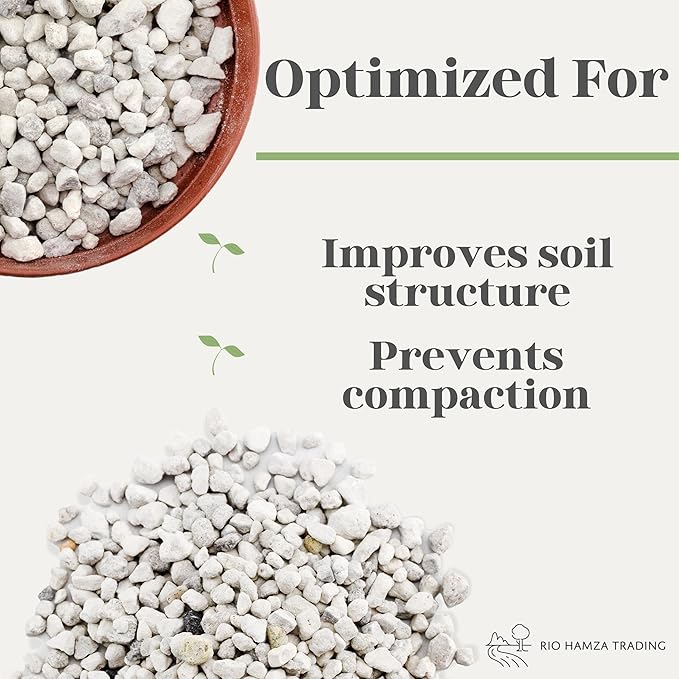 Horticultural Bonsai Pumice Soil Amendment (2 LB), Supplement for Bonsai and Cactus Indoor Plants