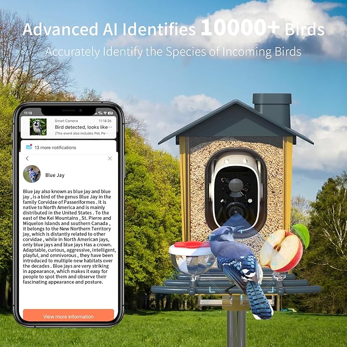 Bird Feeder with Camera - Smart Bird Cam with AI Identify BirdSpecies, Auto Record BirdVideo, Instant Notifications, 2K Video Live Stream Camera with Solar Panel for Birds Lover