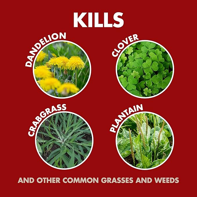 Spectracide Weed And Grass Killer Concentrate 1 Gallon, Use On Patios, Walkways And Driveways