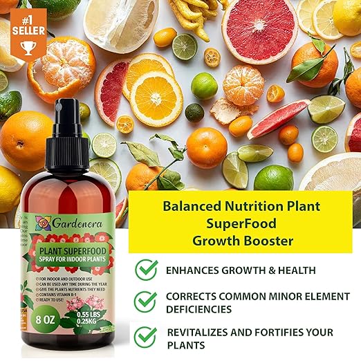 ππππππππππ Plant Superfood for ZZ Plants with B1 Vitamin, Glucose and Essential Minerals - Organic Plant Food Fertilizer for Indoor & Outdoor ZZ Plant Care - 8oz