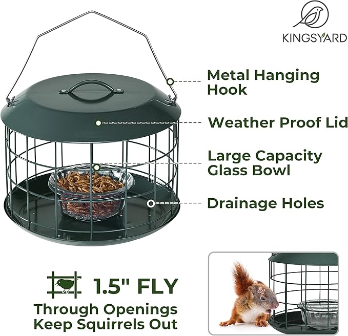Kingsyard Bluebird Feeders for Outdoors Hanging, All Metal, Cage Bird Feeder with Tray, Squirrel Proof & Weatherproof, Easy to Refill & Clean (Green)