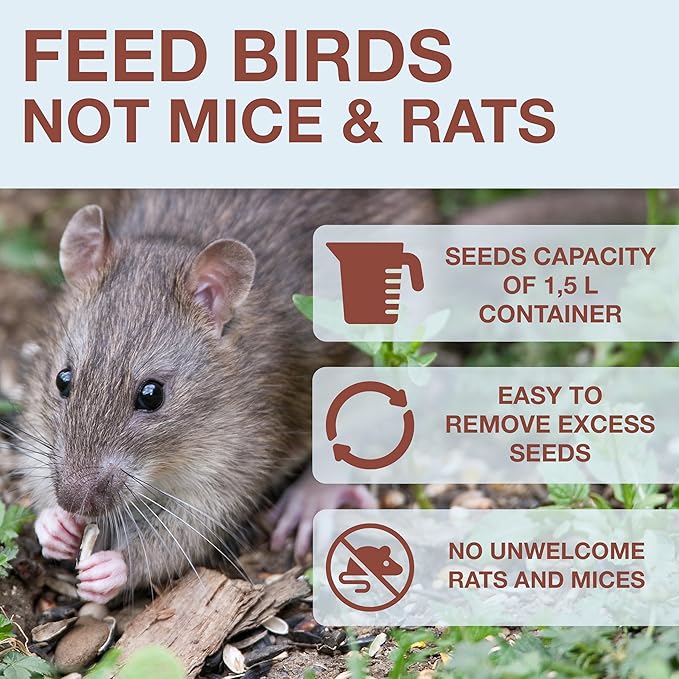 SWISSINNO No Mess Bird Feeder Davos Smart Birds - No Spill Bird Feeder for Outdoor - Mice & Rat Proof - Robust & Reliable for Hanging - Dual Food Chambers - Made in EU - Light Blue