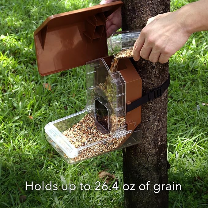 Wasserstein Bird Feeder Camera Case Compatible with Blink, Wyze & Ring Security Cameras Including Blink Outdoor 4, Wyze Cam OG & Ring Stick Up Camera (Camera NOT Included)