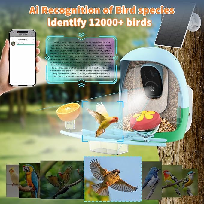 2025 New Smart Bird Feeder with Camera, 2.4GHz WiFi Solar Bird Feeder - 2K HD Live Video Camera AI Identify Birds, Instant Arrival Alerts, Birds Lover Gifts