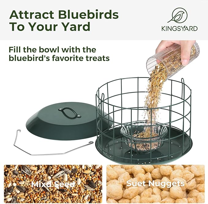 Kingsyard Bluebird Feeders for Outdoors Hanging, All Metal, Cage Bird Feeder with Tray, Squirrel Proof & Weatherproof, Easy to Refill & Clean (Green)
