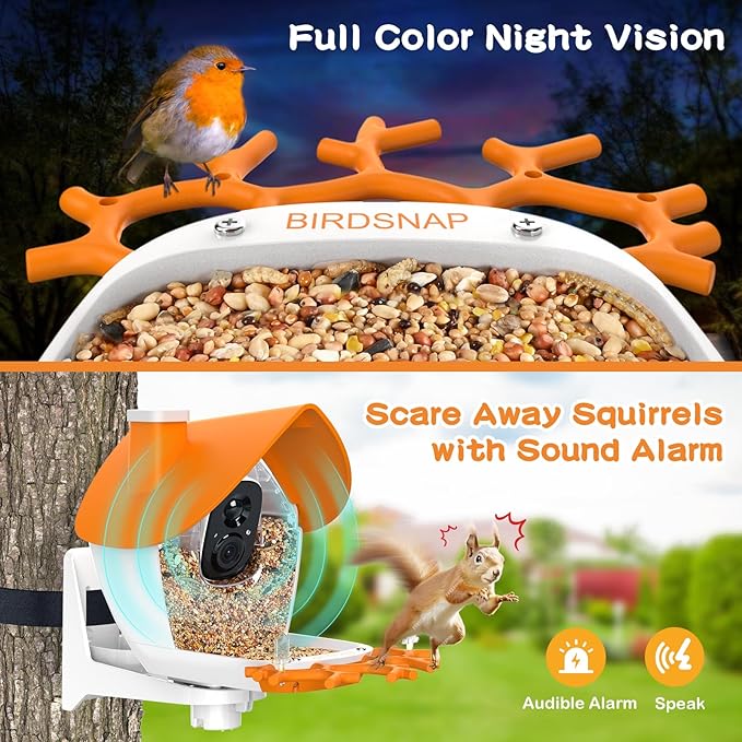 birdsnap® MON - Bird Feeder with Camera, 2K Detachable Video Bird Feeder Live with 32GB Card Fruit Fork, AI Identify Feather Species, Auto Record in Backyard, Ideal Gift for Birds Lover
