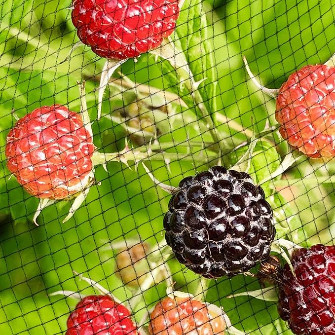 Garden Netting, 15ft x 30ft Black Bird Netting Heavy Duty,Rabbit,Large Bees,Squirrels, Deer,Chicken, Anti Birds, Cardinals,Animal Fencing for Fruit Tree & Vegetable Garden