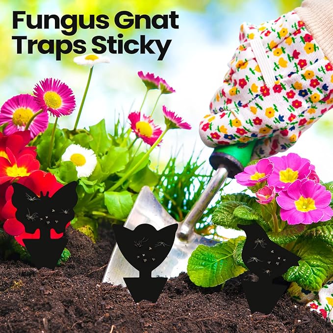 200 Sheets Fruit Fly Sticky Traps for Fruit Fly Gnat Trap for House Indoors Sticky Traps Catcher for Gnats Fungus Gnats Mosquito Catcher for Kitchen Outdoor Plants(Black)