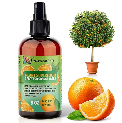 ππππππππππ Plant Superfood for Orange Tree with B1 Vitamin, Glucose and Essential Minerals - Organic Plant Food Fertilizer for Indoor & Outdoor Orange Trees Care - 8oz