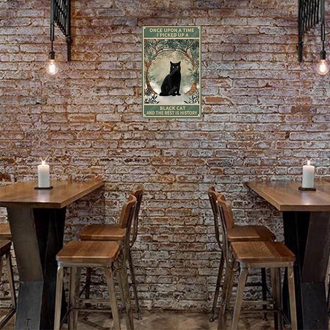 Metal Signs Once Upon A Time I Picked Up A Black Cat And The Rest Is History Vintage Tin Sign for Home Office Kitchen Bar Cafe Garden Wall Decor 12x8 Inch