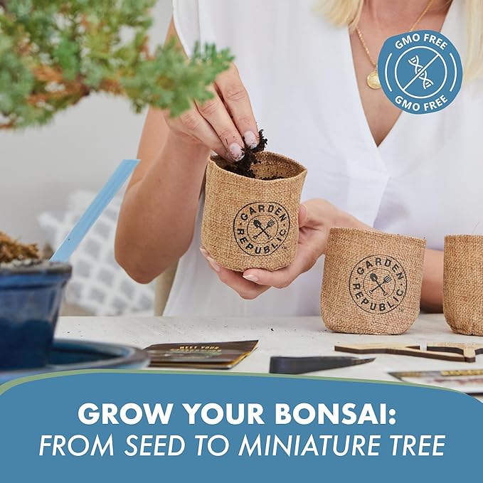 Garden Republic Medium Bonsai Tree Kit, Grow 3 Mini Bonsai Trees, Indoor Plant Growing - Starter Kit with Seeds, Soil, Planters & Shears, Gardening Gifts