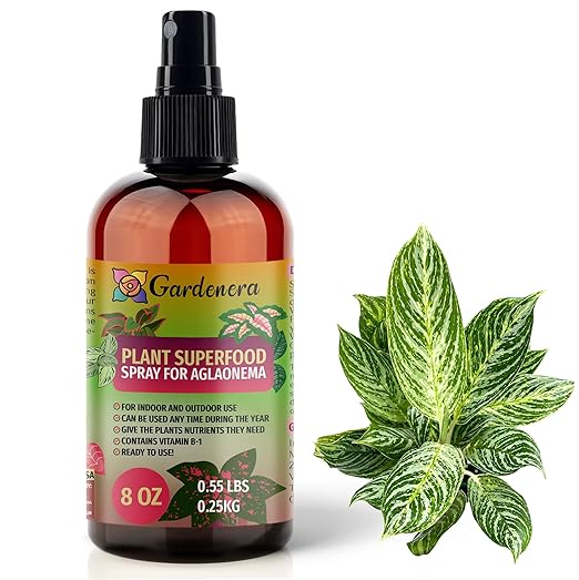 ππππππππππ Plant Superfood for AGLAONEMA Plants with B1 Vitamin, Glucose and Essential Minerals - Organic Plant Food Fertilizer for Indoor & Outdoor AGLAONEMA Plant Care - 8oz