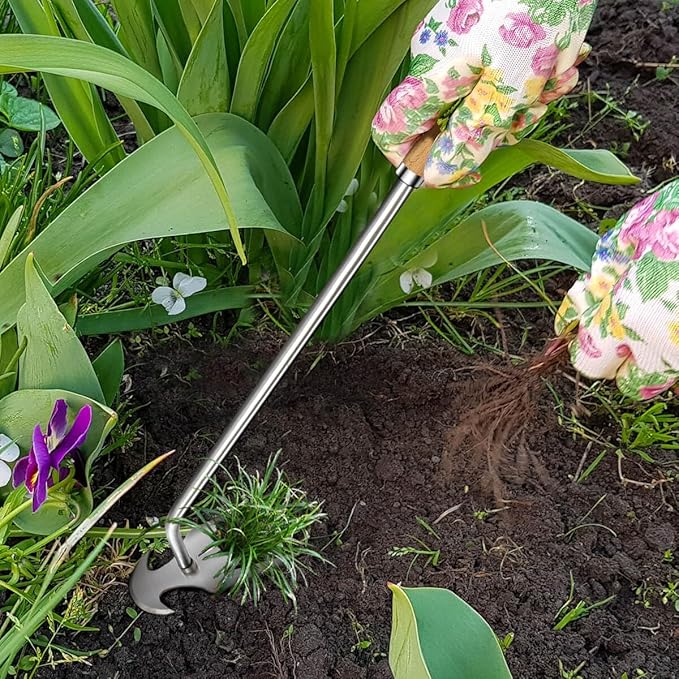 2pack 16inch Weed Puller Tool,Weeding Tool,4 Teeth Stainless Steel Hand Weeder for Effortless Weeding,Portable Uprooting Tool for Vegetable Gardening,Backyard,Farm (Wooden Handle&Stainless Steel)