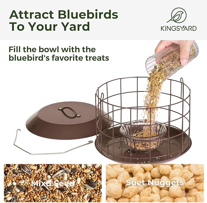 Kingsyard Bluebird Feeders for Outdoors Hanging, All Metal, Cage Bird Feeder with Tray, Squirrel Proof & Weatherproof, Easy to Refill & Clean (Brown)