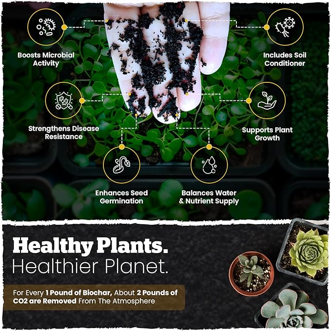 Wakefield Biochar Blend Potting Mix for Cactus & Succulent – Premium Potting Soil Blend with CarbonBoost Technology for Superior Drainage, Moisture Retention & Root Growth – 2 QT Organic Soil Mix