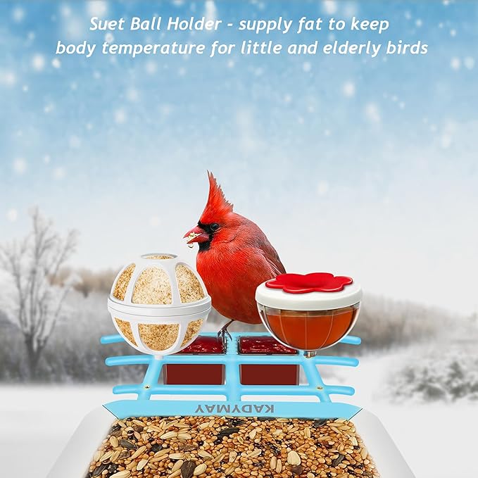 64GB Smart Bird Feeder with Camera Solar Powered, AI Identify 10K+ Bird Aves, 2K 3MP HD Live Video &Playback on Phone, 2.4G WiFi Birdhouse Camera Wireless Outdoor-Watching House (Light Blue)
