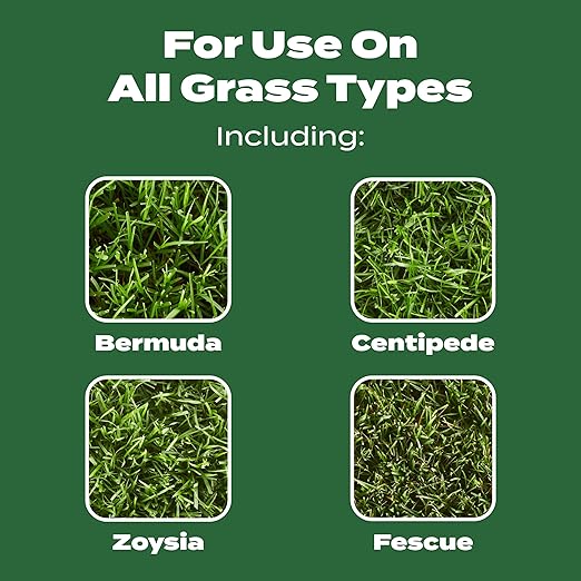 Scotts Turf Builder Lawn Food - Fertilizer for All Grass Types, 15,000 sq. ft., 37.50 lbs.