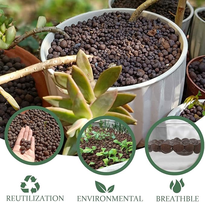 10LBS Leca Expanded Clay Pebbles Hydroponics Supplies for Indoor Garden Plants (10LBS)