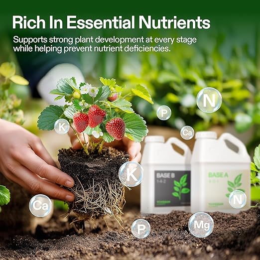 VIVOSUN Liquid Nutrients Base A & B Bundle, Grow Big Hydroponic Fertilizer, Supports Vegetative and Flowering Stages for Outdoor, Indoor Plants, Best Plant Food, Set of 1 Gallon