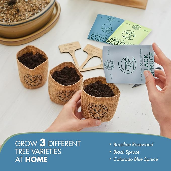 Garden Republic Medium Bonsai Tree Kit, Grow 3 Mini Bonsai Trees, Indoor Plant Growing - Starter Kit with Seeds, Soil, Planters & Shears, Gardening Gifts