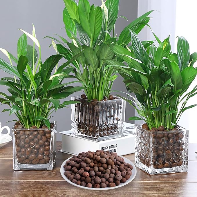10LBS Leca Expanded Clay Pebbles Hydroponics Supplies for Indoor Garden Plants (10LBS)